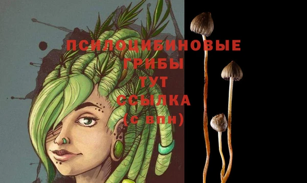 дживик Лабытнанги