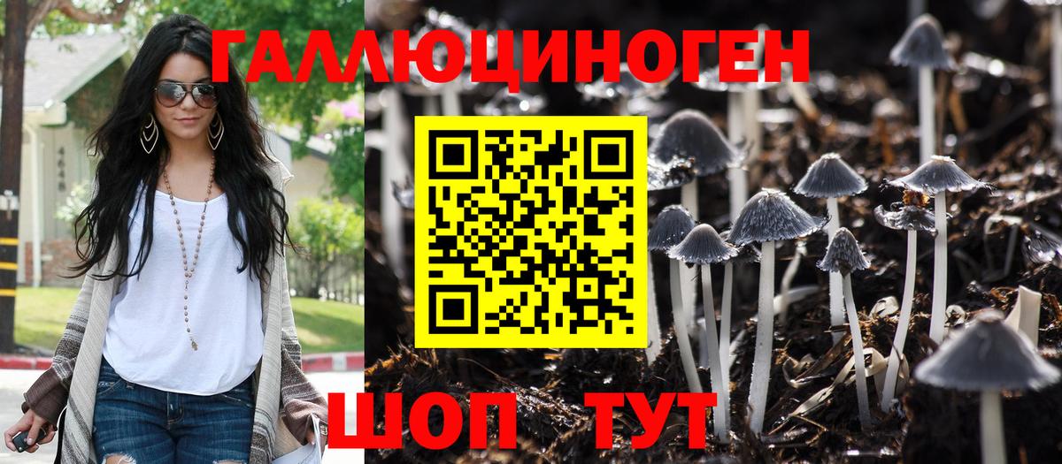 Галлюциногенные грибы Psilocybe Санкт-Петербург