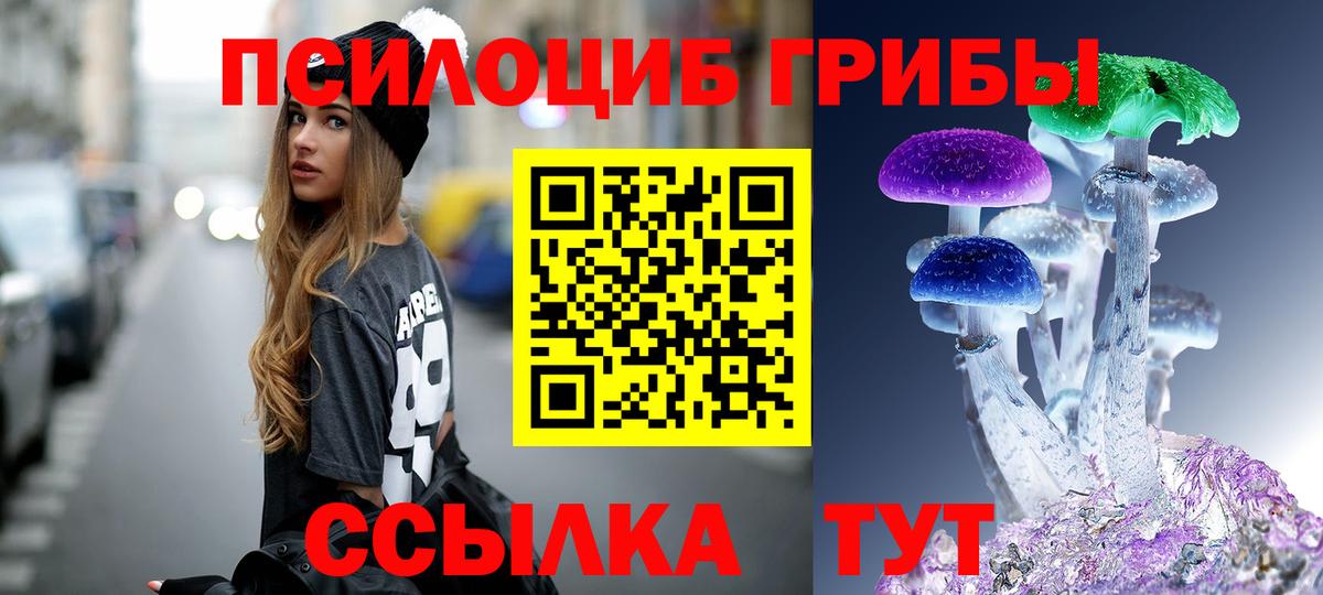 Санкт-Петербург  Галлюциногенные грибы Magic Shrooms  Галлюциногенные грибы Psilocybe  Вход с VPN 